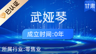 岷縣武婭琴家電商行