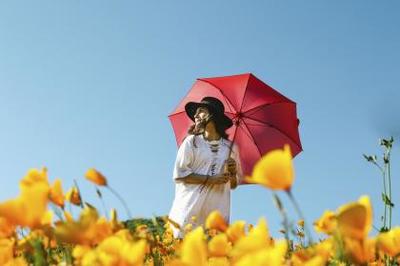 規(guī)劃!武漢試管前女性都檢查哪些項目